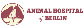 Link to Homepage of Animal Hospital of Berlin